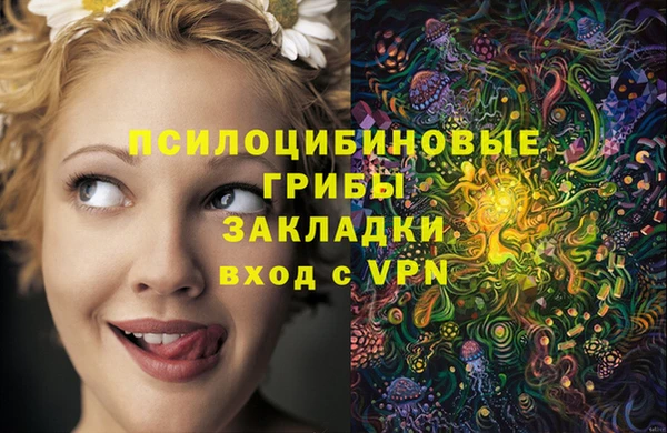 таблы Белокуриха
