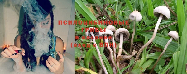 дурь Беломорск
