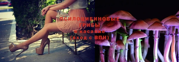 дурь Беломорск