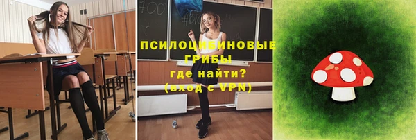 таблы Белокуриха