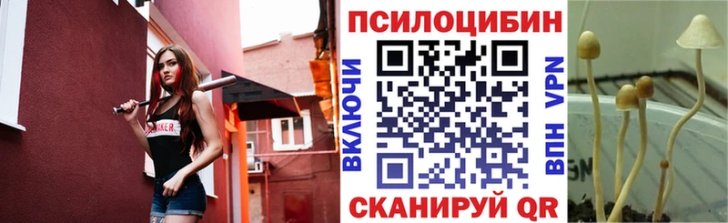 hydra зеркало  Ершов  Псилоцибиновые грибы MAGIC MUSHROOMS 