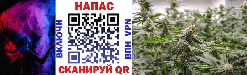 сколько стоит  Ершов  Бошки марихуана THC 21% 
